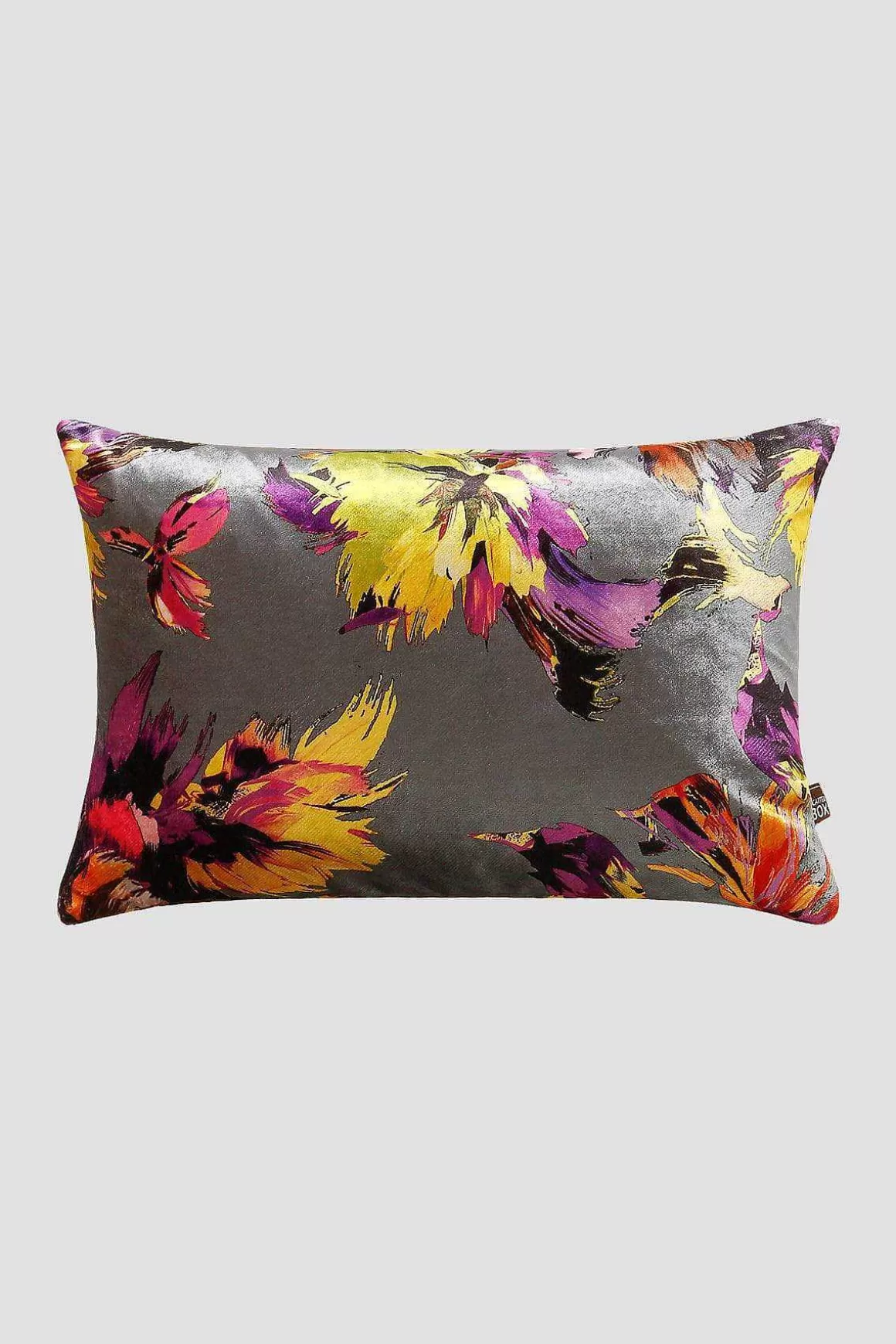 Scatter Box Adriana 35X50Cm Cushion In Grey Best Sale