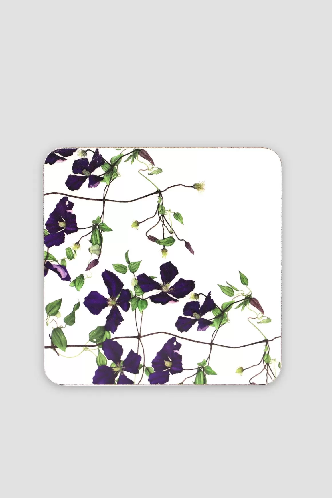 Tipperary Crystal Gift Botanical Cork Backed Coasters Best Sale