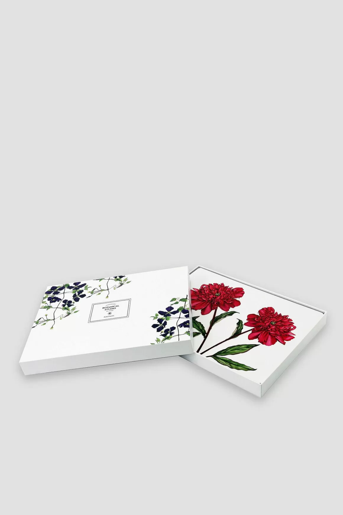 Botanical Collection Botanical Cork Backed Placemats S/6 Fashion
