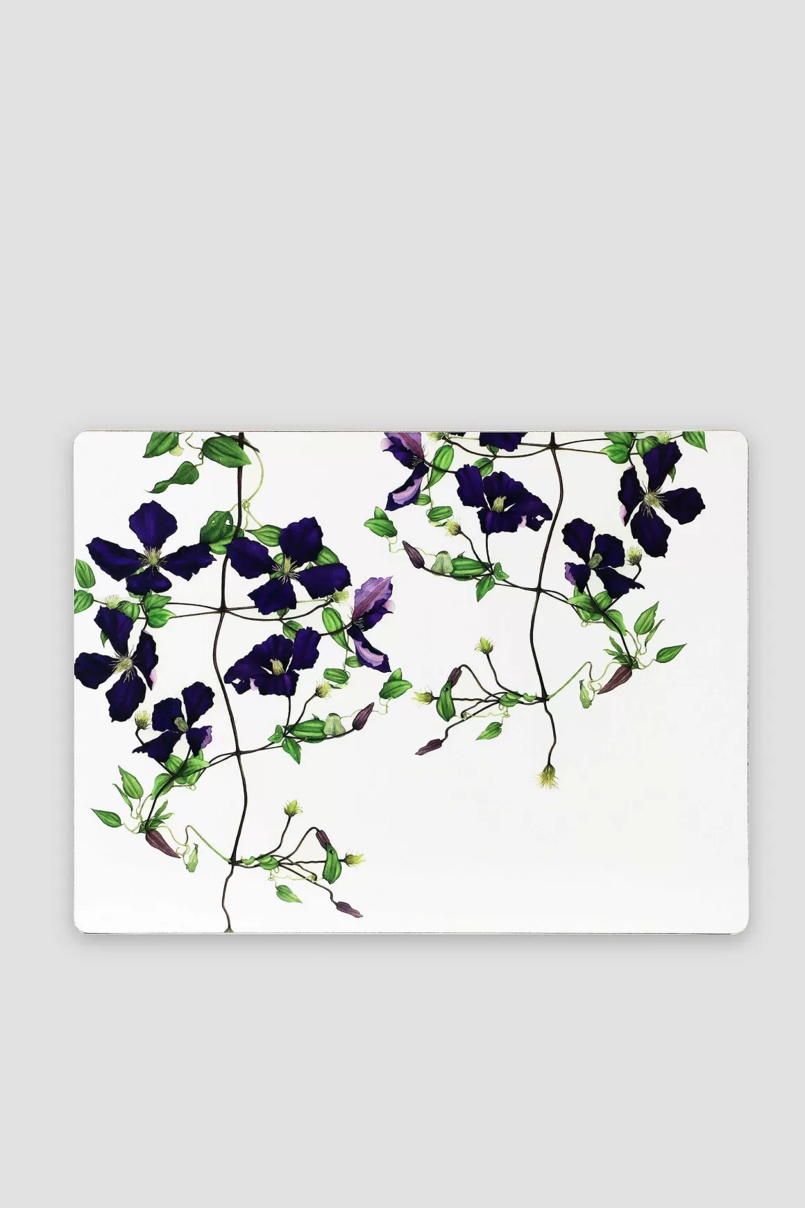 Botanical Collection Botanical Cork Backed Placemats S/6 Fashion