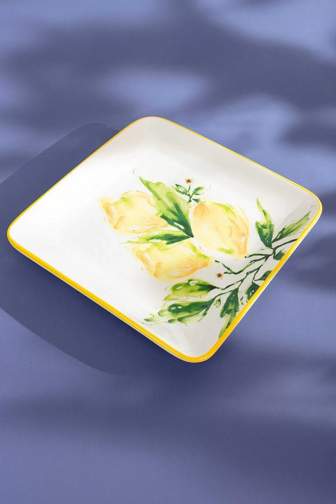 Carraig Donn HOME Ceramic Lemon Square Plate Hot