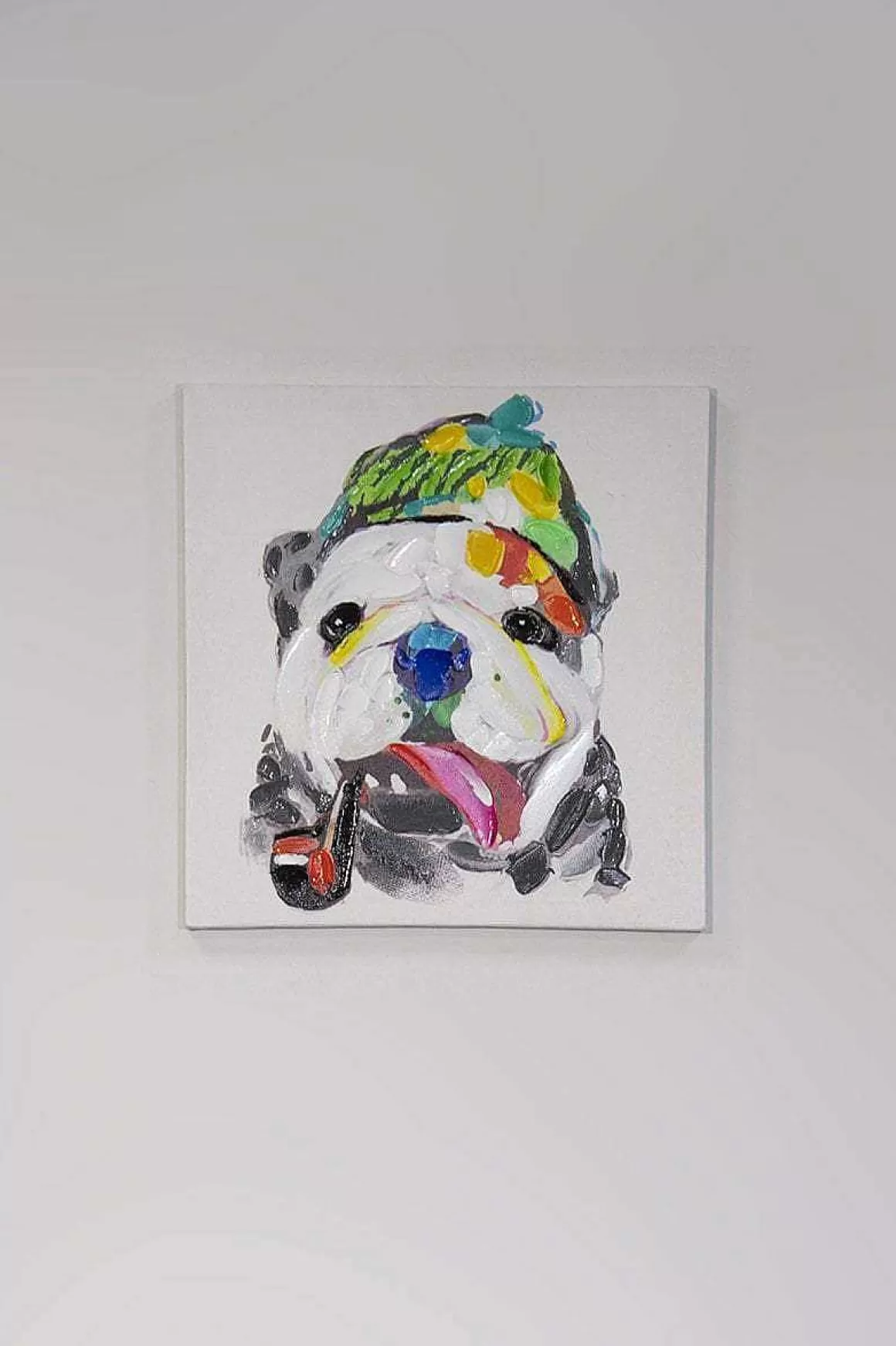 Carraig Donn HOME Colourful Dog Canvas Wall Art Cheap
