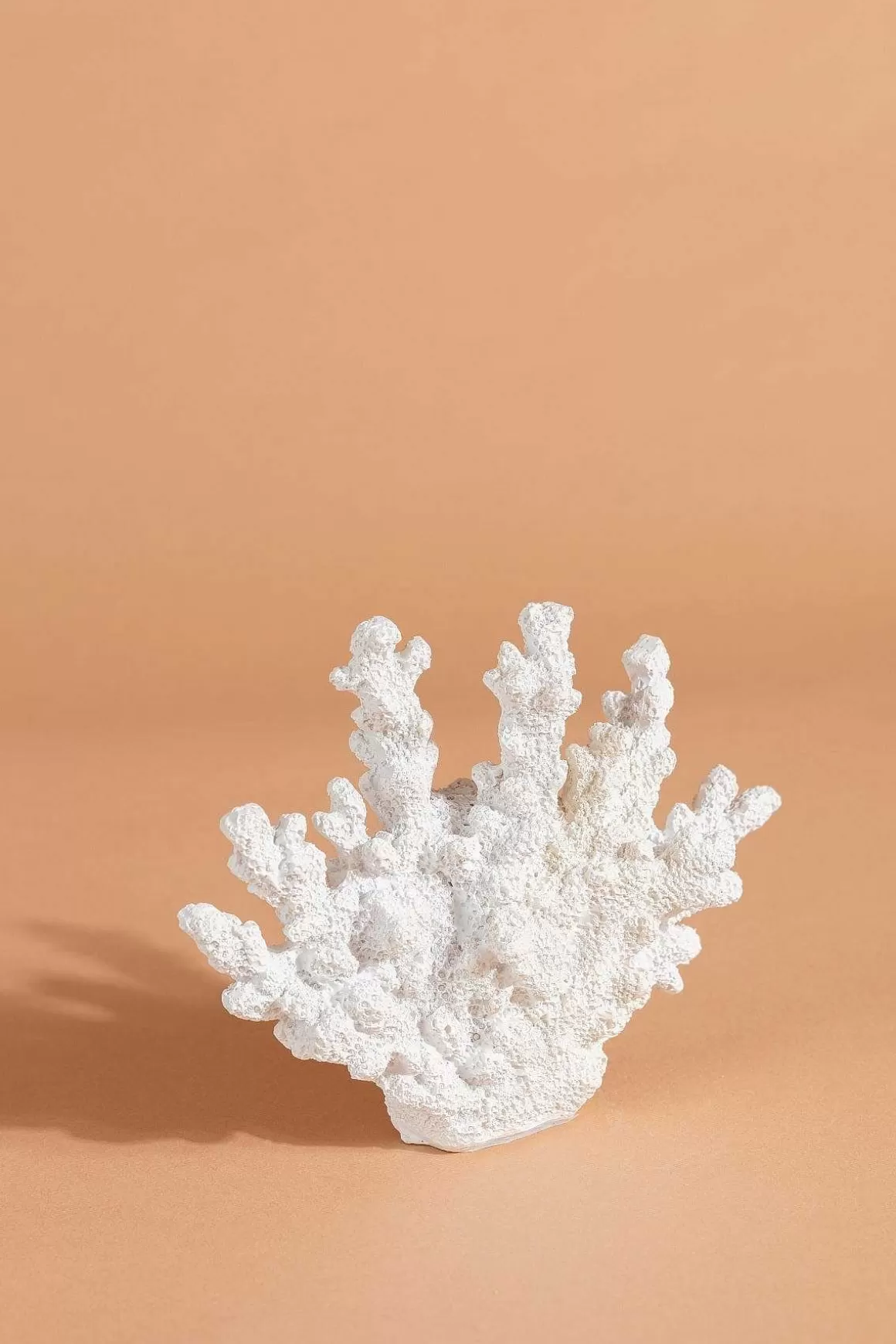 Carraig Donn HOME Coral Decor Store