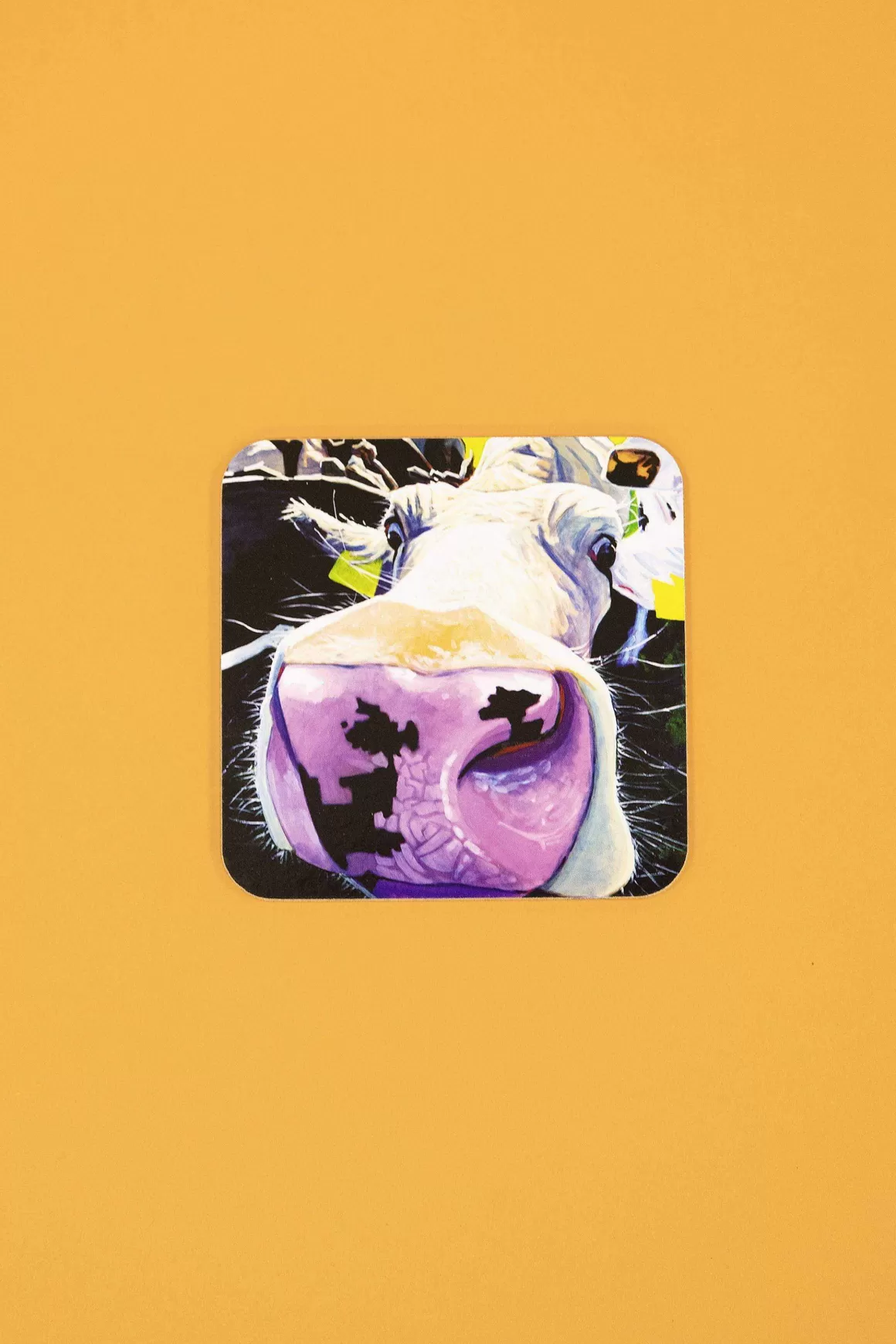 Tipperary Crystal Gift Eoin O Connor Set Of 6 Coasters Store