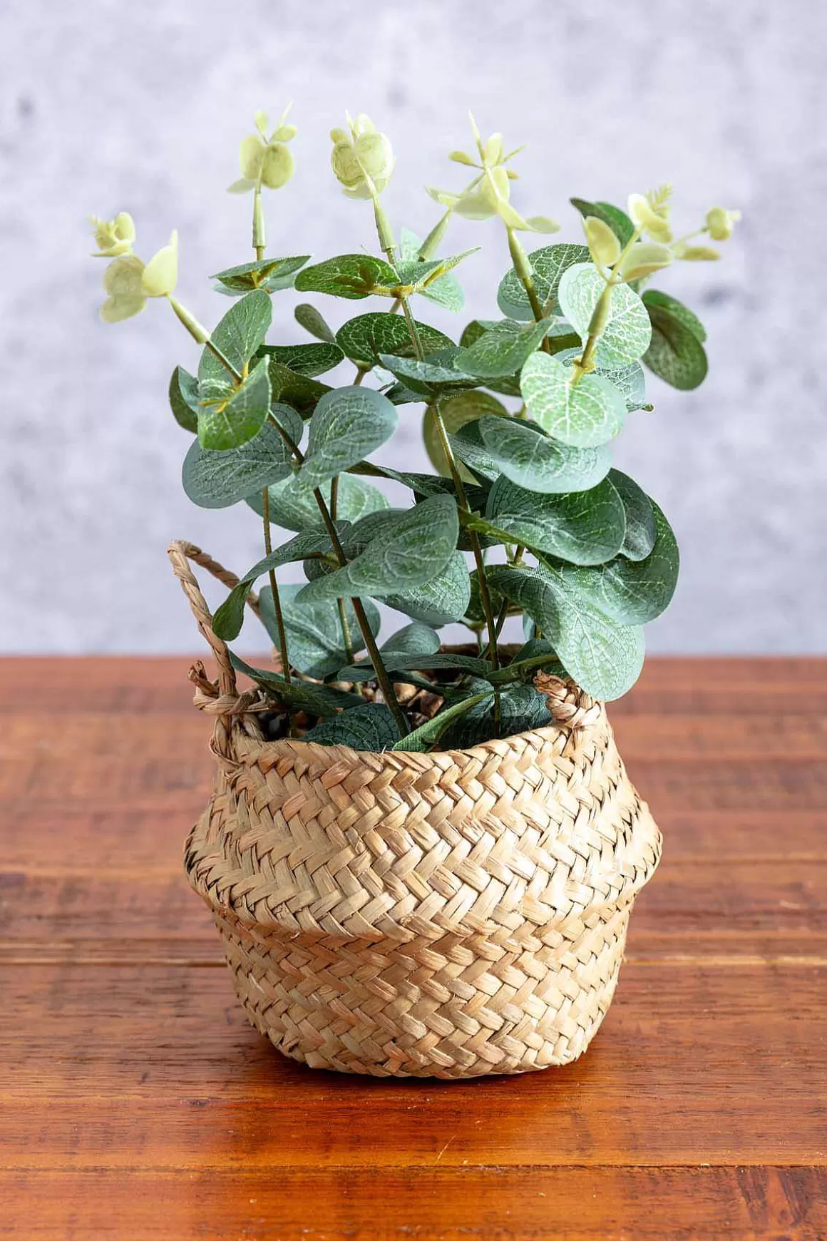 Carraig Donn HOME Eucalyptus In Basket Clearance