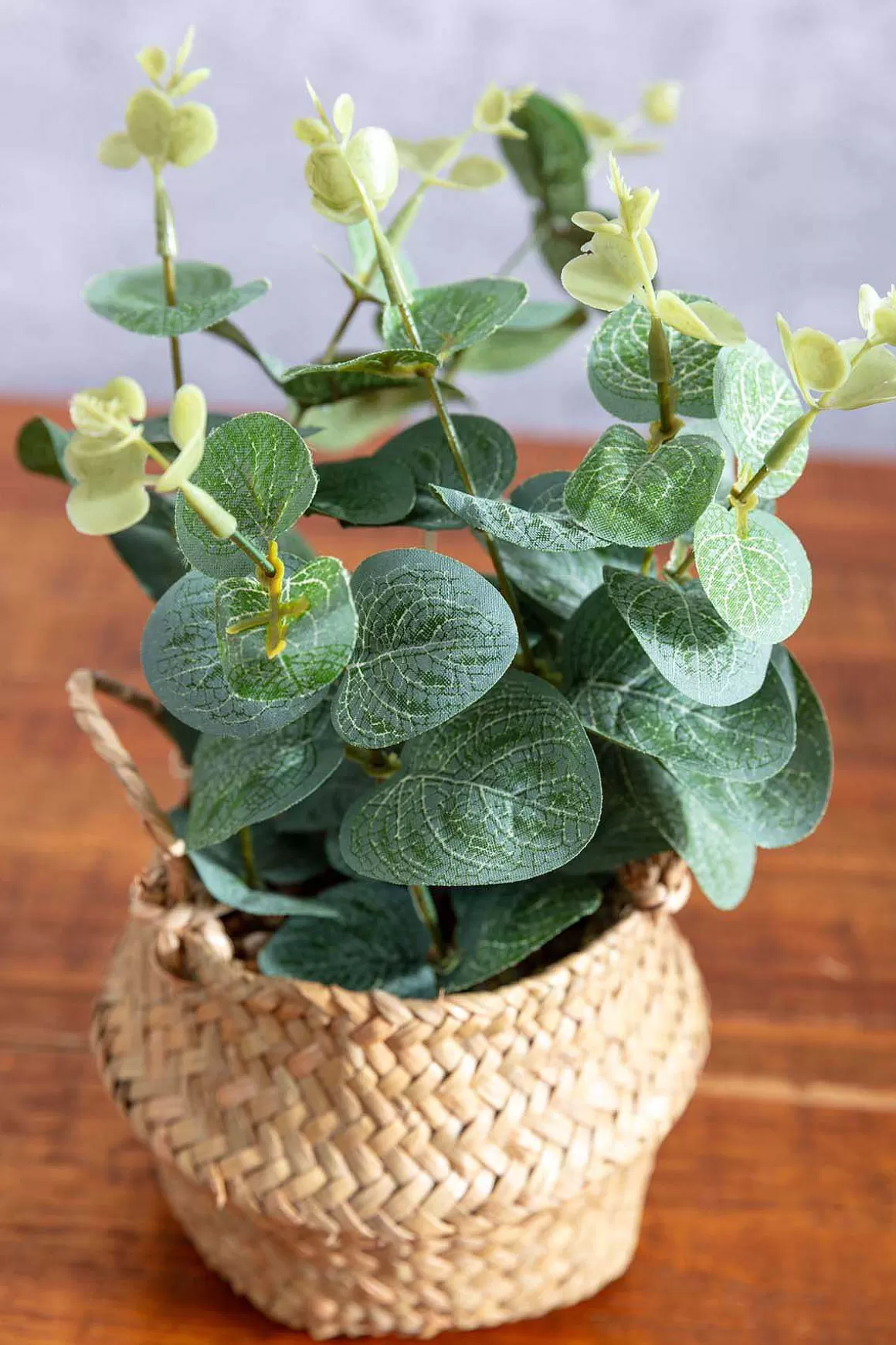 Carraig Donn HOME Eucalyptus In Basket Clearance