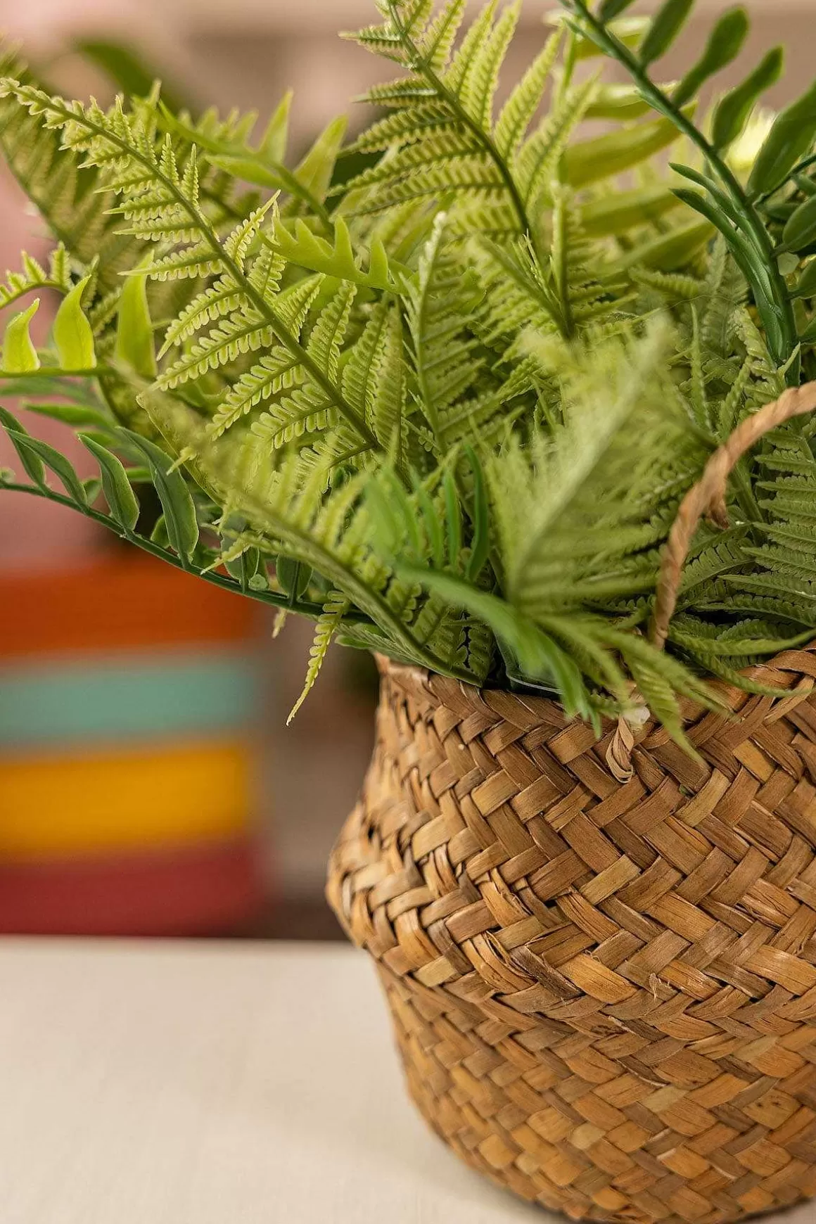 Carraig Donn HOME Faux Fern Plant In Basket Store