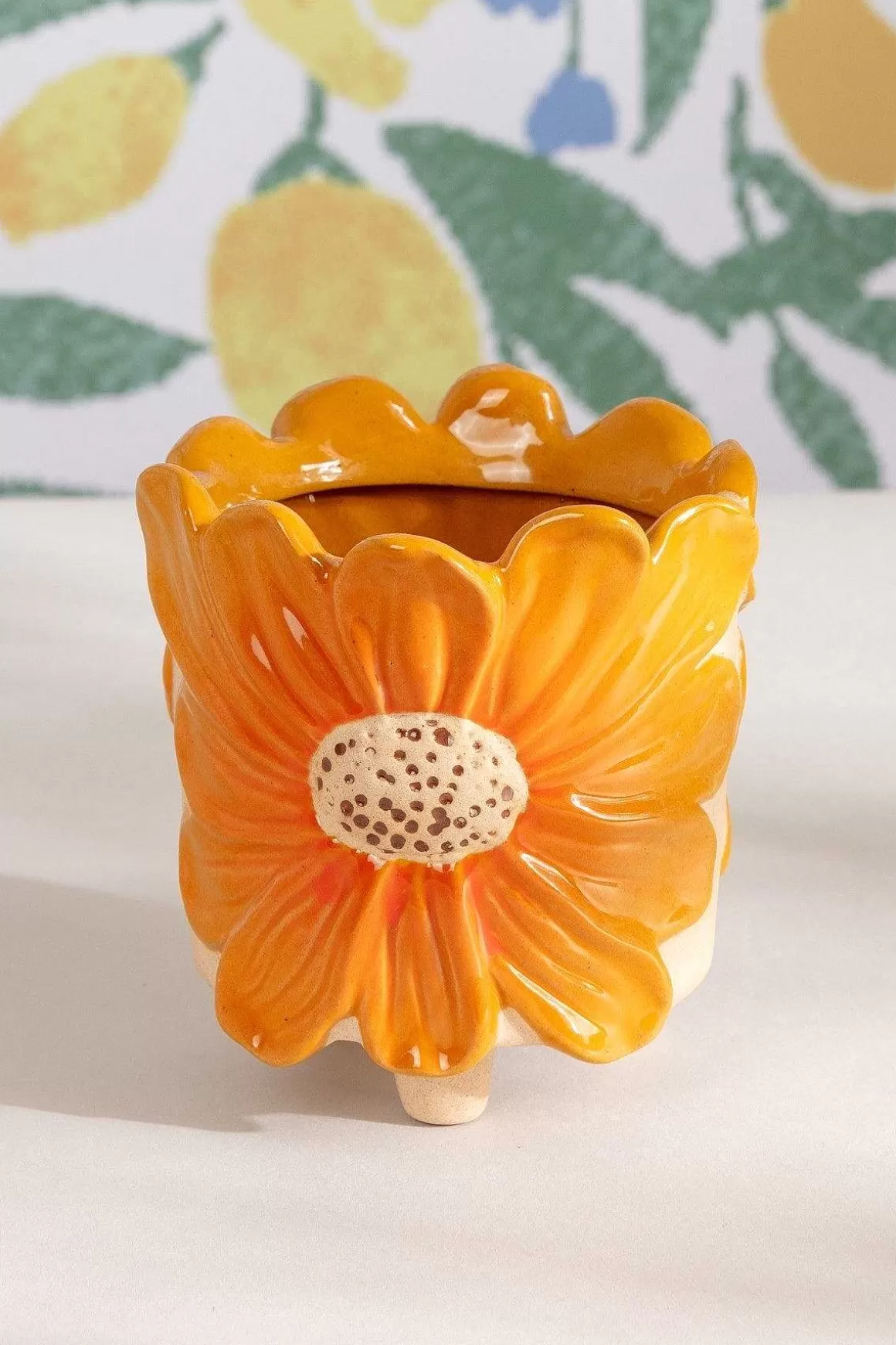 Carraig Donn HOME Flower Pot Clearance