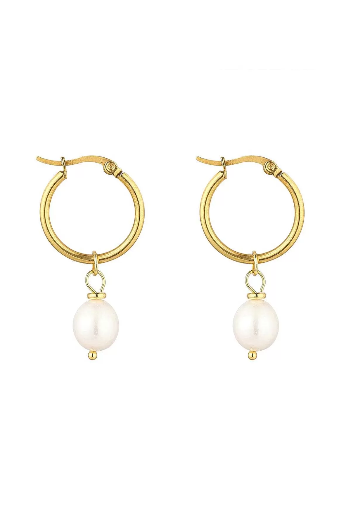 Knight & Day Freshwater Pearl Earrings In Gold Flash Sale