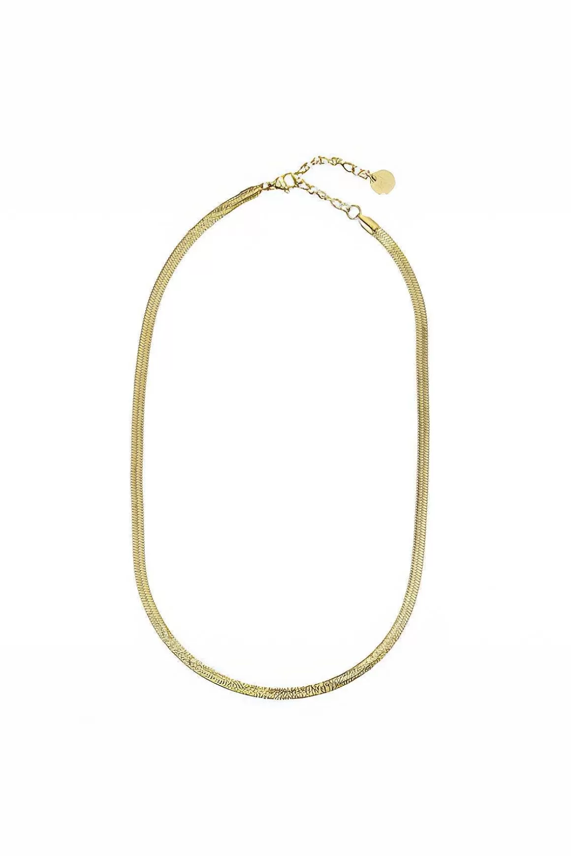 Knight & Day Gold Flat Snake Chain Necklace Clearance