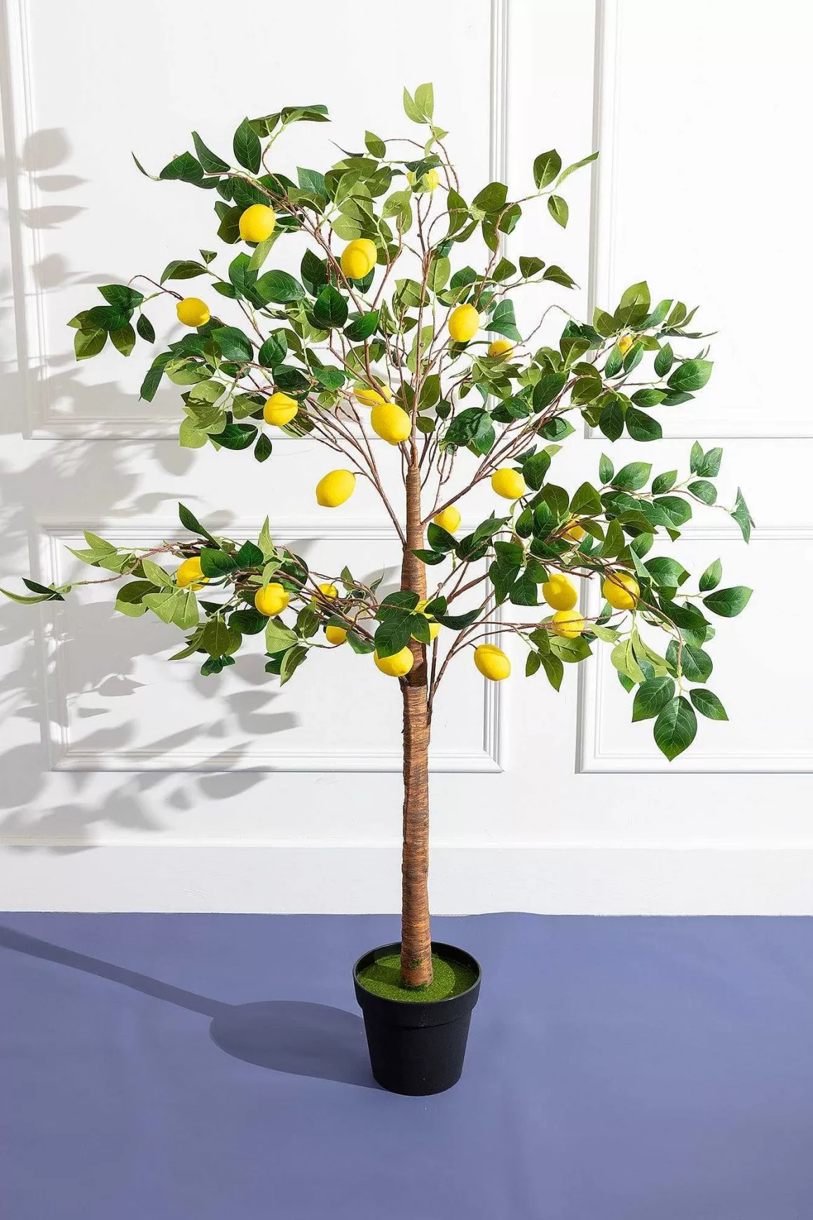 Carraig Donn HOME Lemon Tree Online