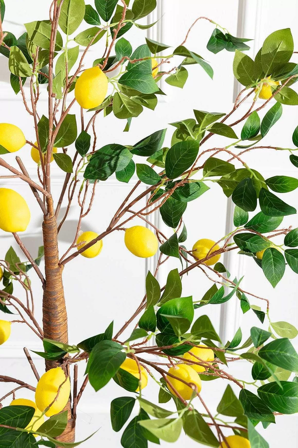 Carraig Donn HOME Lemon Tree Online