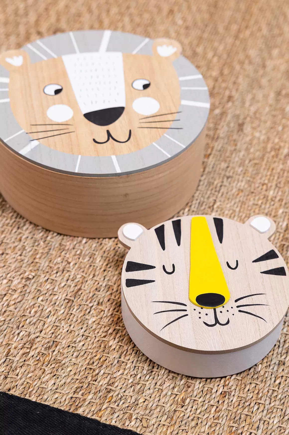 Carraig Donn HOME Lion Box Fashion
