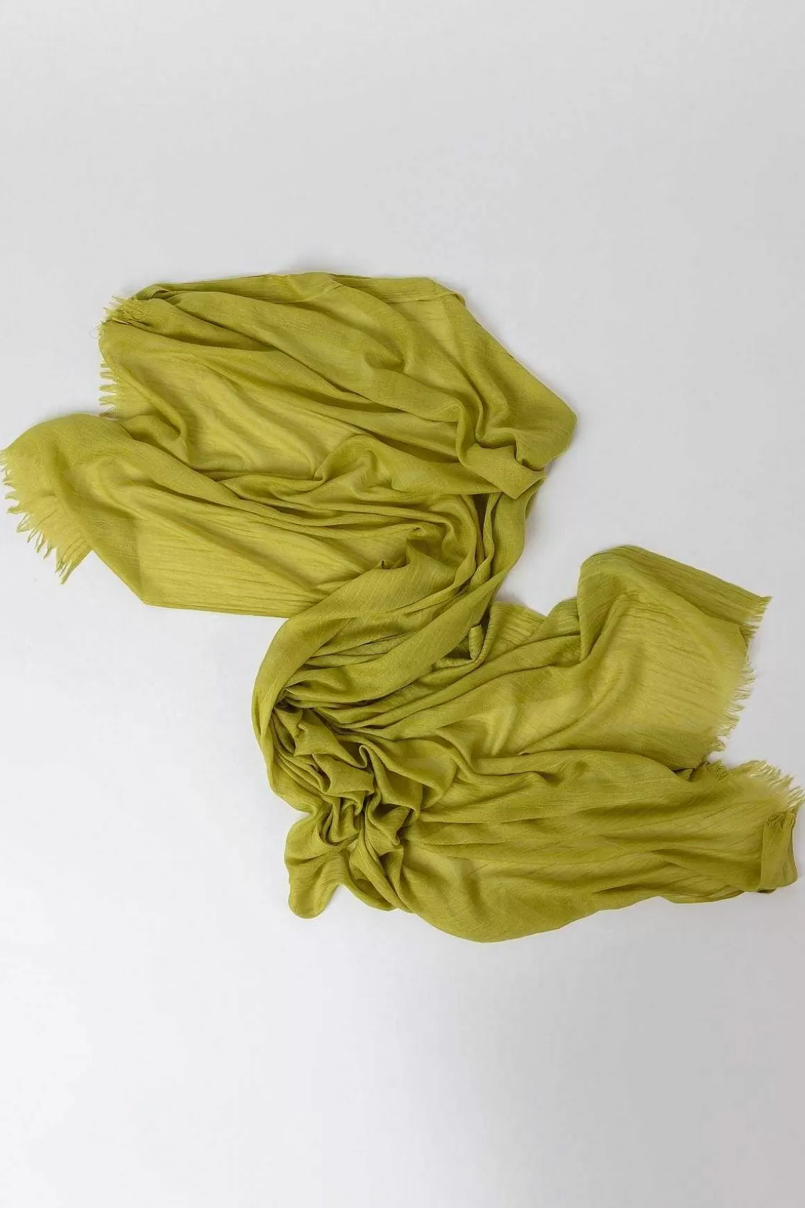 Pala D'oro Accessories Plain Scarf In Lime Shop