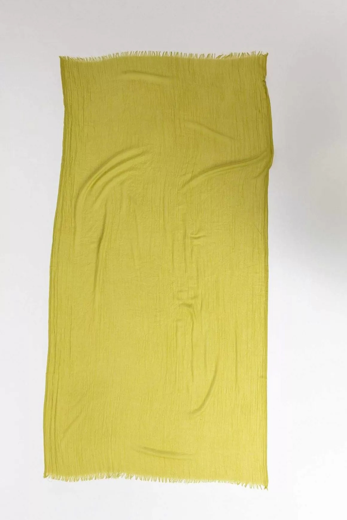 Pala D'oro Accessories Plain Scarf In Lime Shop