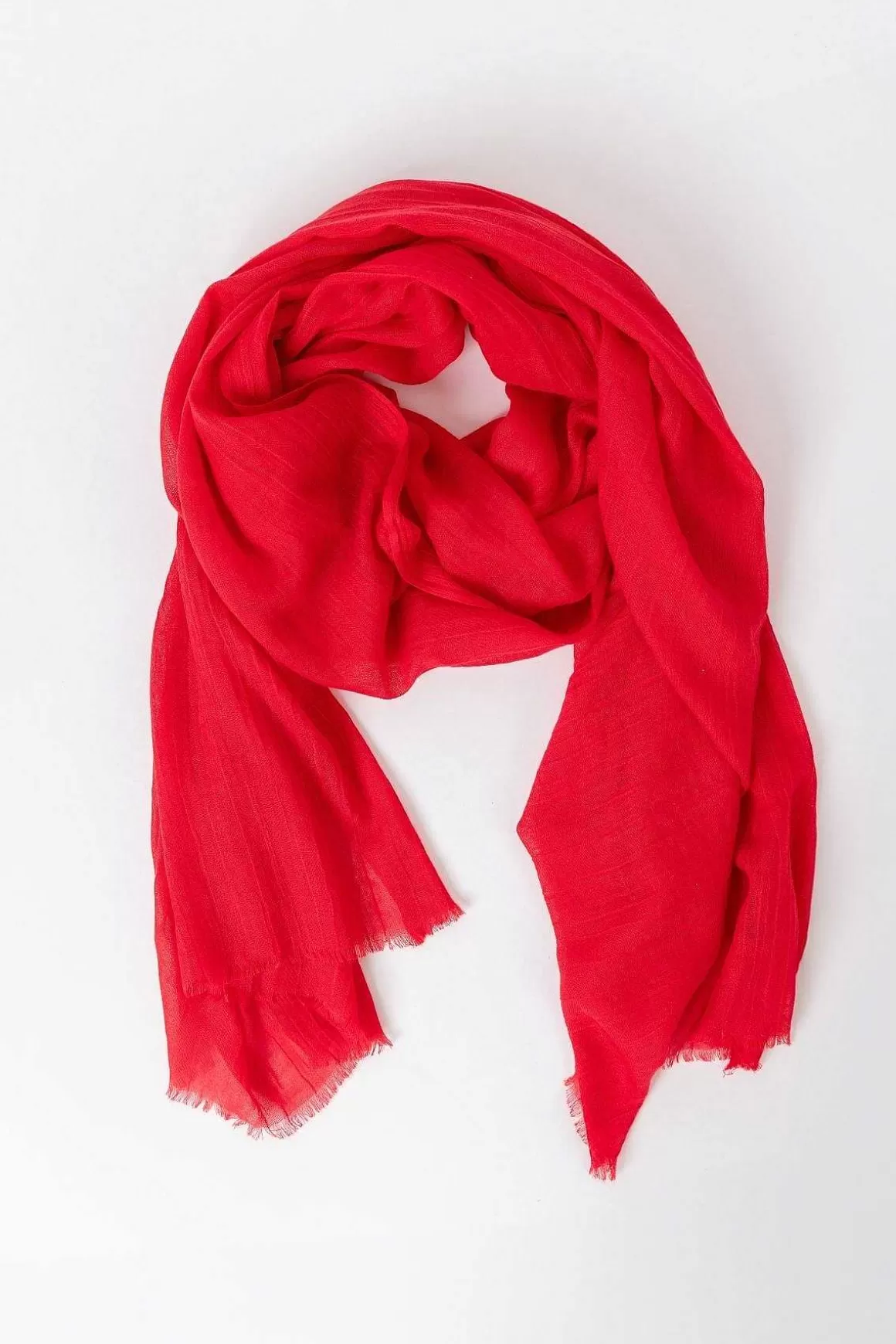 Pala D'oro Accessories Plain Scarf In Red Discount