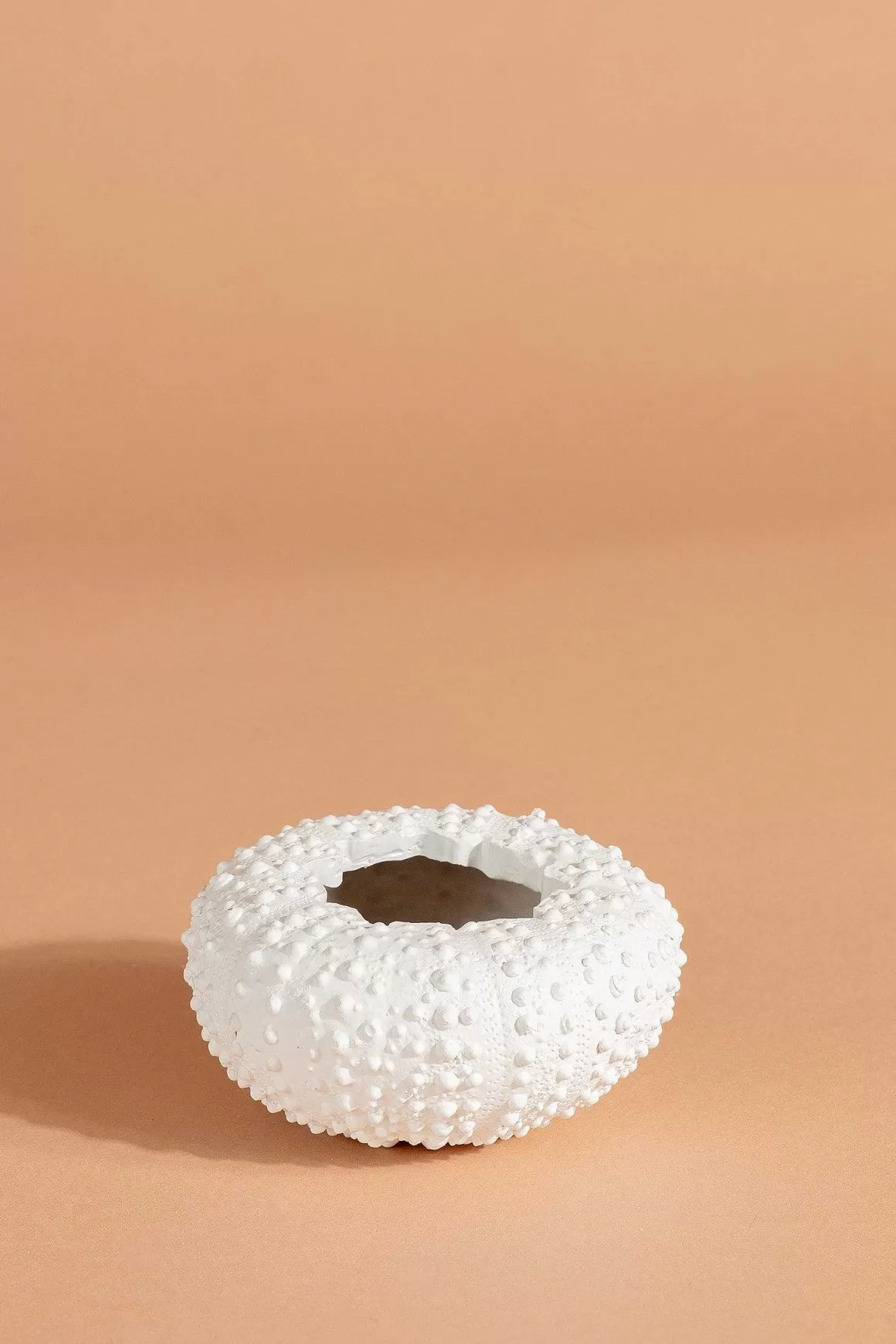 Carraig Donn HOME Sea Urchin Planter Small Shop