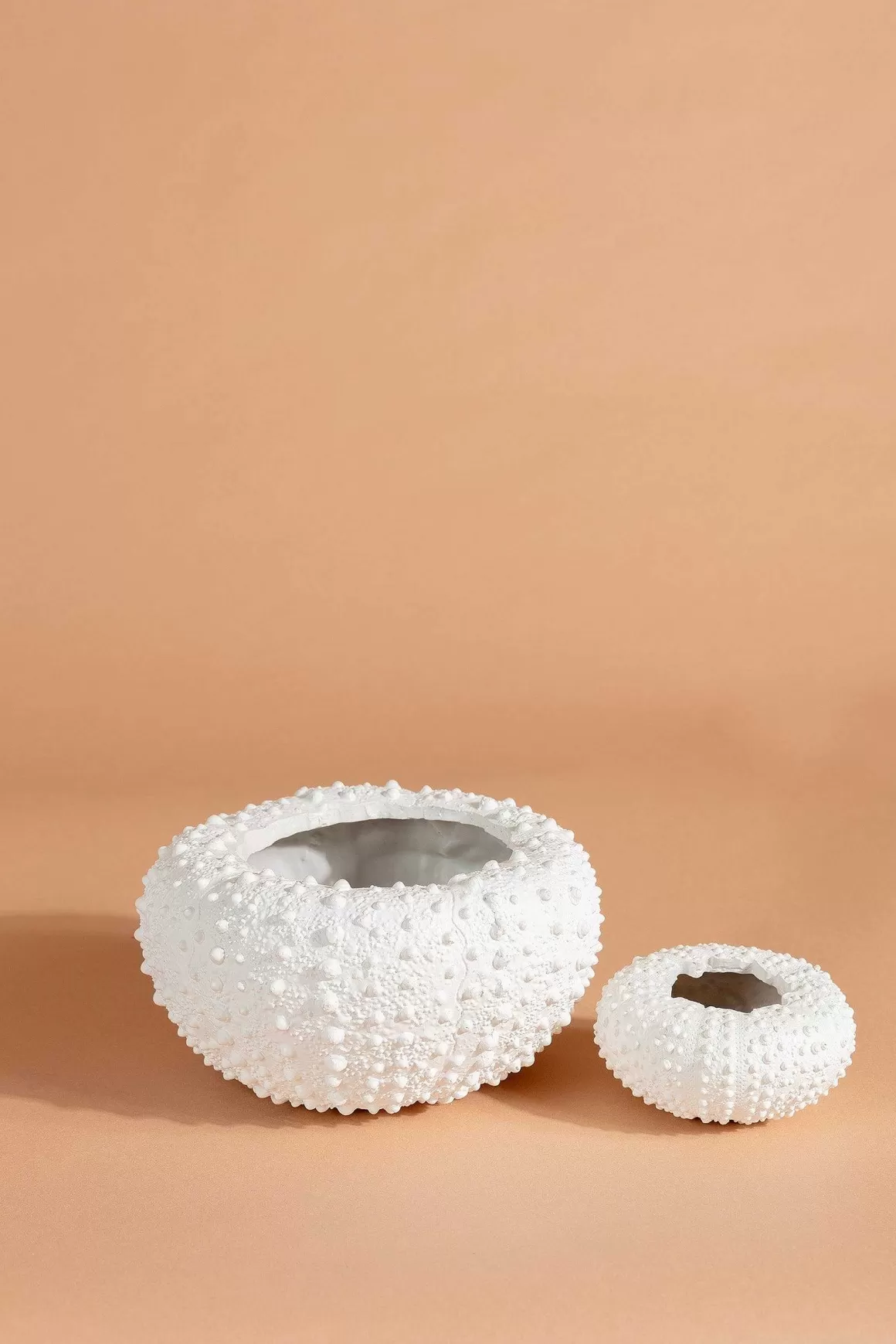 Carraig Donn HOME Sea Urchin Planter Small Shop