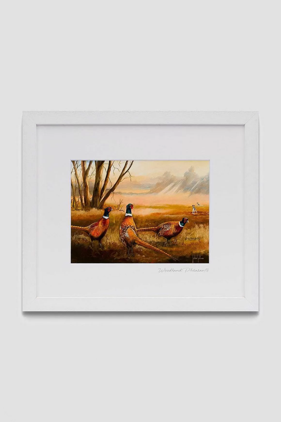 Blue Shoe Gallery Woodland Pheasants Wall Art Hot