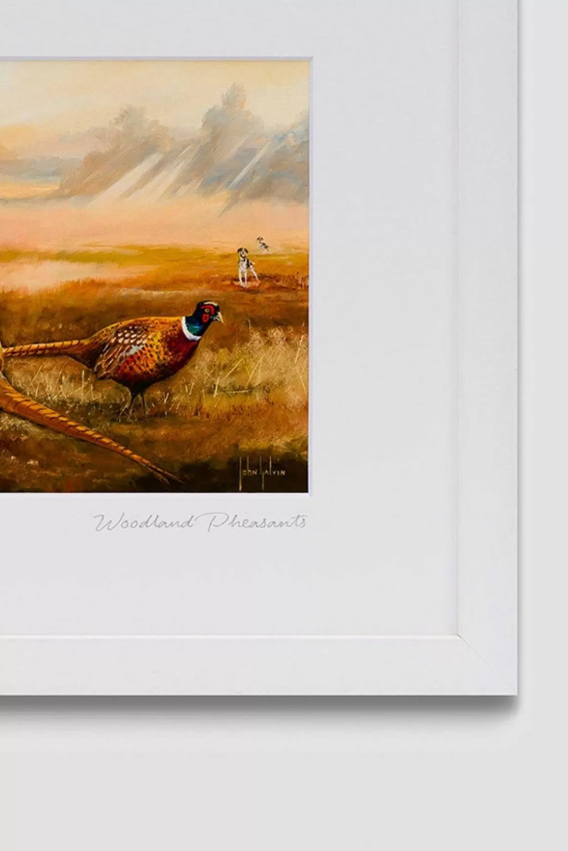 Blue Shoe Gallery Woodland Pheasants Wall Art Hot